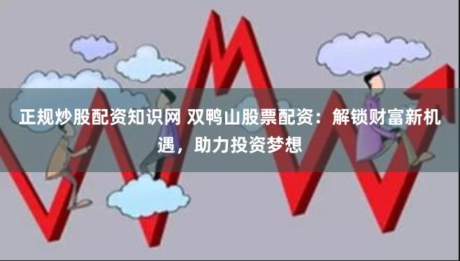 正规炒股配资知识网 双鸭山股票配资：解锁财富新机遇，助力投资梦想