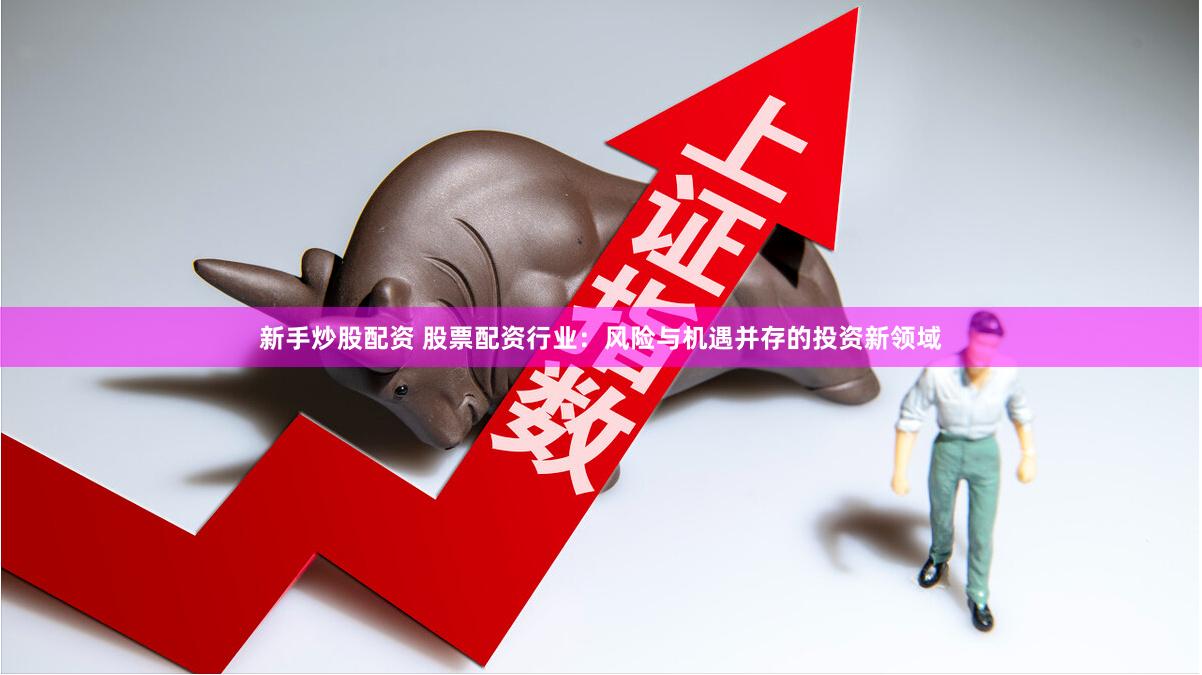 新手炒股配资 股票配资行业：风险与机遇并存的投资新领域